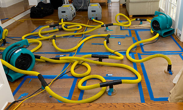 Professional Basement Flood Cleanup technician working in Saint George, SC